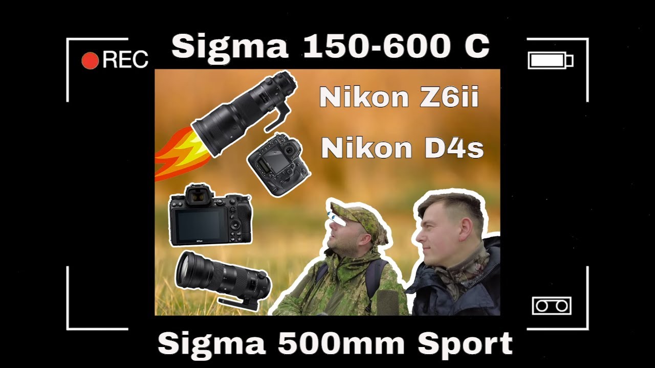 Fotografia przyrodnicza  Nikon  Z6 II  Nikon D4s   Sigma 150-600 C   Sigma F/4 500mm Sport