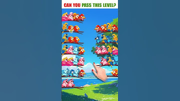 250328 EN Birdsort2 duonglv 03a25 V 60s