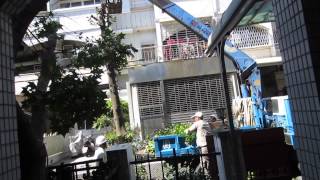 20150414砍樹5