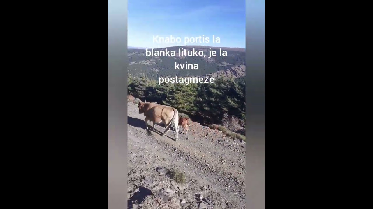 la freneza montaro, Sierra Nevada suda hispanio.