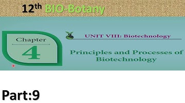 9) 12th Bio-botany Chapter :4 Principles and processes of biotechnology -Southern blotting