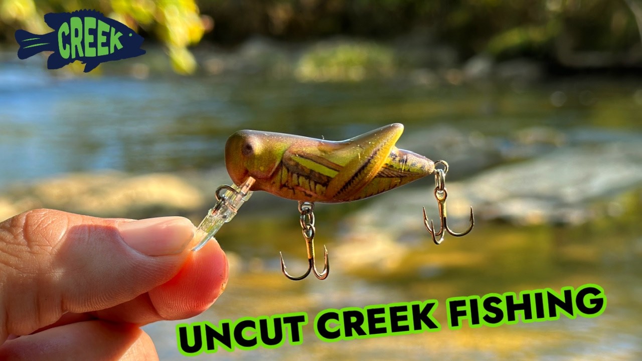 Wade Fishing My Favorite Creek!  UNCUT!