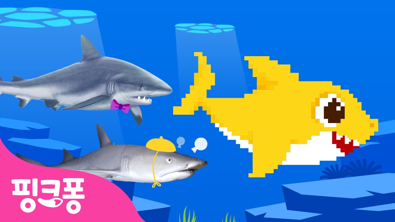 [TOP5] 도망쳐! 상어가 쫓아와요 🦈 | +모음집 | 실사 상어, 8비트 상어 외 | Baby Shark | 아기상어 무한반복 | 상어가족 | 핑크퐁! 인기동요