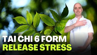 Tai Chi 6 Form for Beginners Module 04 | Release Stress | Stress Reduction