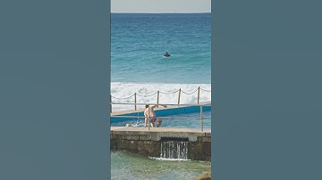 FOR SALE | 8 Beverly Place, Curl Curl | Ben Jones