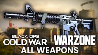 NEW Cold War Warzone META Explained | Every Black Ops Cold War Weapon in Warzone Gameplay