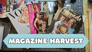 Magazine Harvest || Glue Books, Junk Journals, and Creative Daily Journals