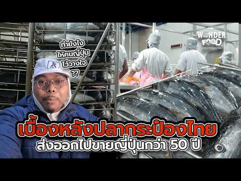 The 50-Year Story Behind Thai Canned Fish Exported to Japan #wonderfood