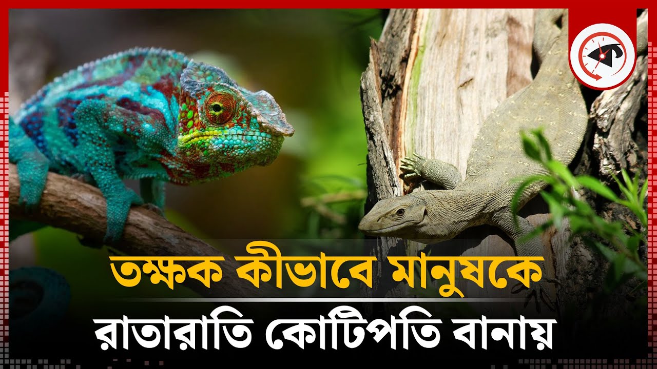 Sportchi ayollar jinsiy aloqa