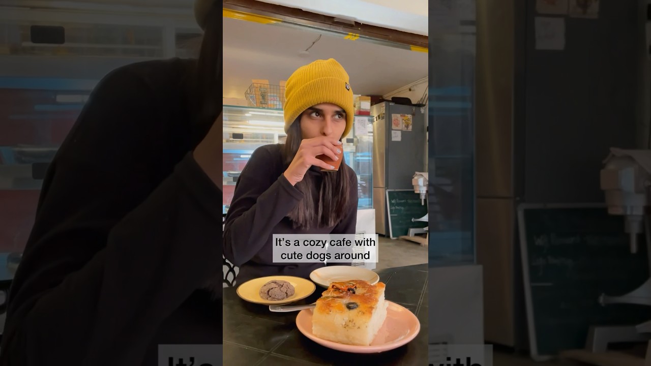 Cute vegan friendly cafe in Dharamkot, Himachal