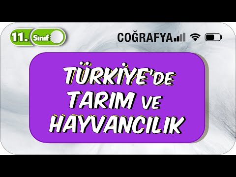 Türkiye'de Tarım ve Hayvancılık | Akıcı Konu Anlatımı | 11. Sınıf Coğrafya #2023