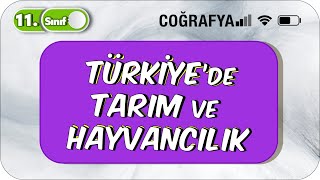 Türkiye'de Tarım ve Hayvancılık | Akıcı Konu Anlatımı | 11. Sınıf Coğrafya #2023