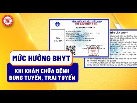 Video: Dịch vụ khám phá lãnh sự hoạt động như thế nào?