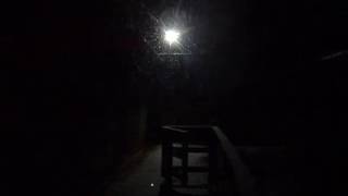 Для тех, кто спрашивает почему нельзя приехать посмотреть животных после 17 часов))) Для тех, кто спрашивает почему нельзя приехать посмотреть животных после 17 часов)))