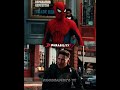 Spider-Man vs Punisher (Predictions)
