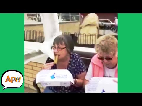 SNATCHED The FAIL Right Outta Her Mouth! ? | Funniest Fail | AFV 2020