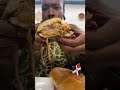 @jefeeatsss Jefe’s Rating: 4/5⭐️ #nyc #bachata #food #foodie #nycfoodies #dominicanrepublic #les