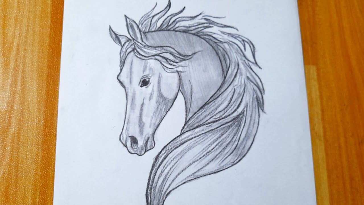 caballo  Horse art drawing, Horse drawings, Pencil art drawings