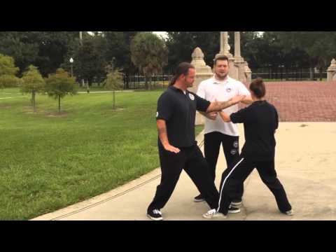 Yang Taijiquan: General Pengjin Explanation