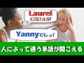 耳の錯覚?人によって聞こえる英語が違う!YannyとLaurel #shorts