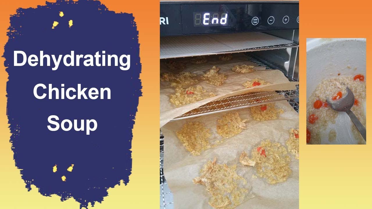 Dehydrating Chicken Soup YouTube