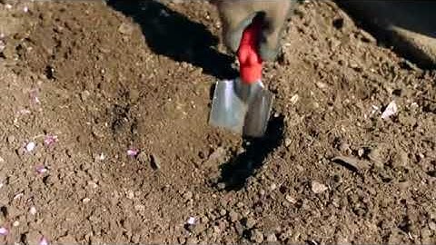 How to Use a Trowel