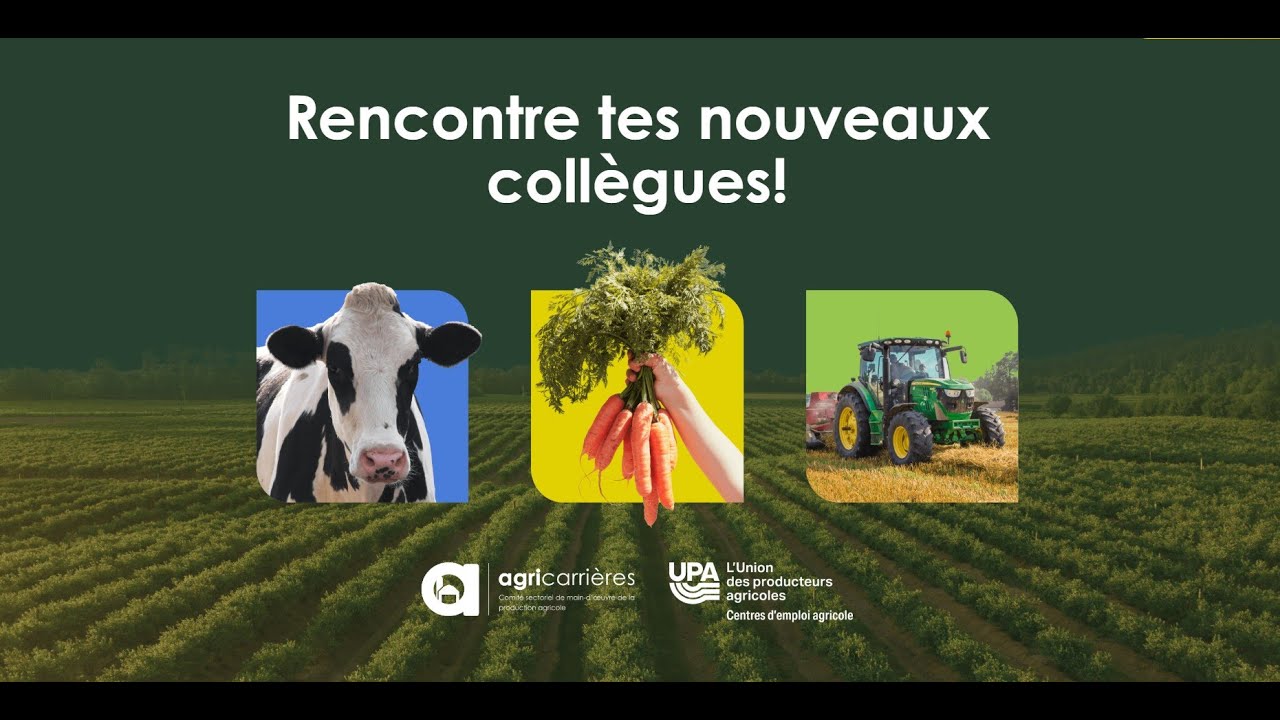 Rencontre tes nouveaux collègues!
