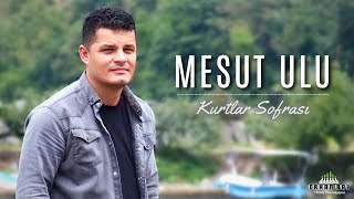 Mesut ULU - Kurtlar Sofrası Resimi