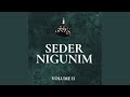 Yechidus nigun feat berel zucker