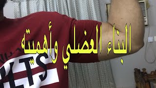 ماهي أهمية العضلات ؟| أهم مصادر البروتين | اسمنت البناء العضلي 