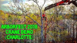 Charlotte Arborfest 2018 Crane Demo Feat. Mark Chisholm and Bluestone Crane