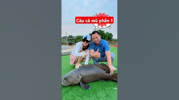 cô cần thủ đi câu cá mũ hồ dịch vụ gặp anh chủ hồ thu phí quá đắt và cái kết phần 1 #fishing #short