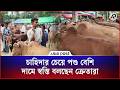 হাটে ক্রেতাদের পছন্দের শীর্ষে ছোট ও মাঝারি গরু | Cow Haat | Asia Post