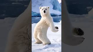 This AI Bear Can Dance Better Than Humans 🐻🔥Dancing Bear AI Loop Is Too Funny Why Is This Bear 🐻💃