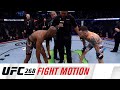 UFC 268: Fight Motion
