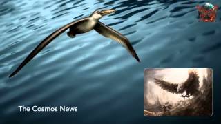 Pelagornis Sandersi, el pájaro más grande - www.tispain.com