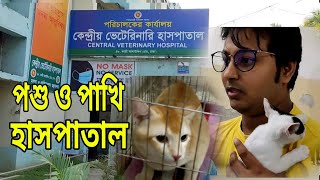 পশু ও পাখির ফ্রী তে চিকিৎসা পাবেন কেন্দ্রয় ভেটেরিনারি হাসপাতালে #rose_pigeon_loft