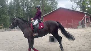Training level test 3. Bat 