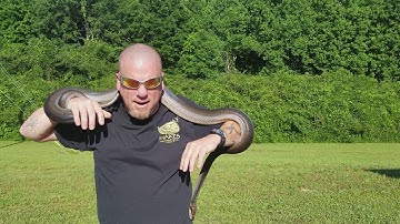 Morph Sunday: Everyone