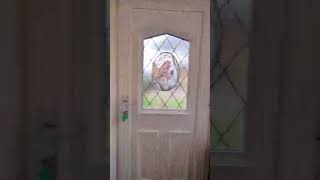 Mayfair Close, Warrington