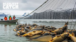 How Harvesting 100 Tons of Asian Carp Became a $1 Billion Industry in America | Fishing Documentary