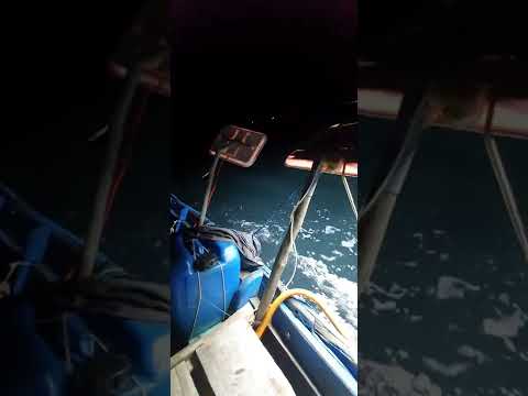 Video Squid night Fishing, #3dMMO, #3dTravel, #3dTech,... - youtube