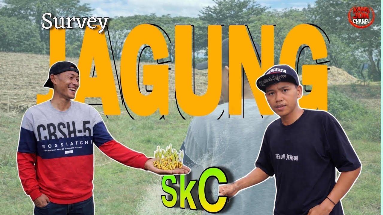 SEPIL JAGUNG SKC JARE KOK ORA TUKUL‼️
