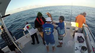 Samana Expert Fishing Charter - Rod Bending - Catching Mutton Snapper Toro Bonita
