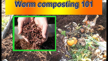 Worm Composting 101