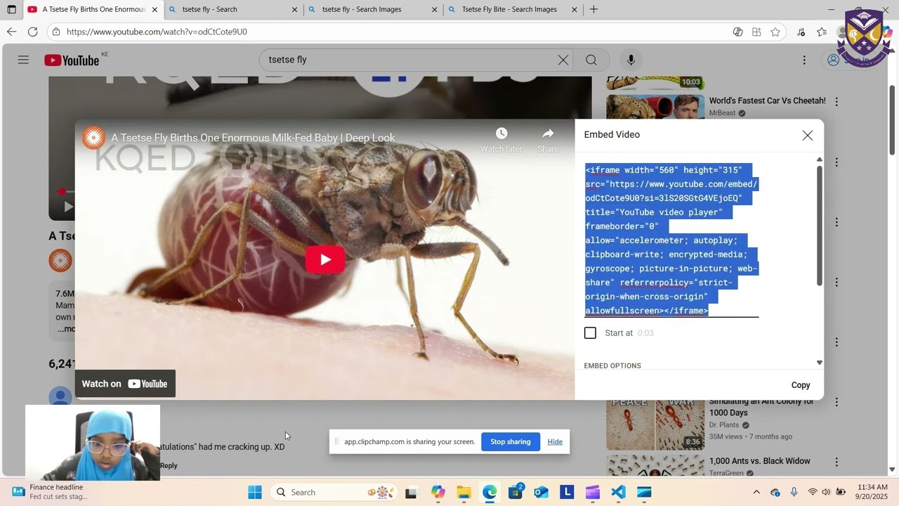 Innovation at Noblegate! | Student Builds a TseTse Flies Website