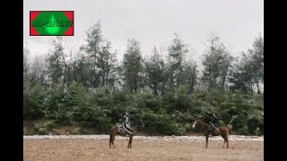 Malik Shah vs Malik Tekush|brothers fight scenes||Al-GHAZI