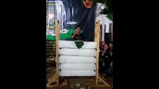 Srikandi Psht Tapak Sirih Lebur Jiwo #terateemas #satuabad