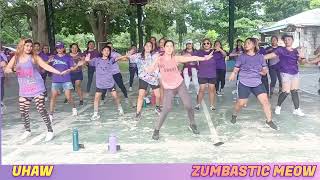 UHAW - Zumba | Tiktok Trends | Dance Workout