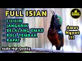 KONIN GACOR FULL ISIAN CILILIN, JANGKRIK, ROLL TEMBAK RAPAT COCOK BUAT KOLIBRI NINJA BAHAN PASTOLAN